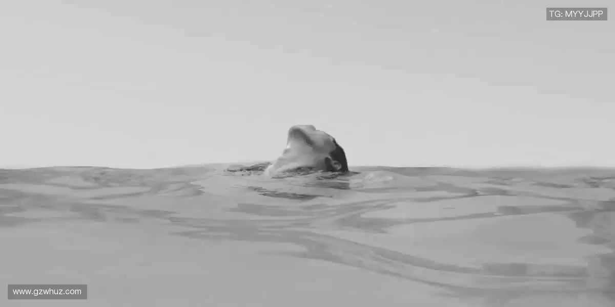 球星同款,限量周边,打造你的专属风格!👟🏆